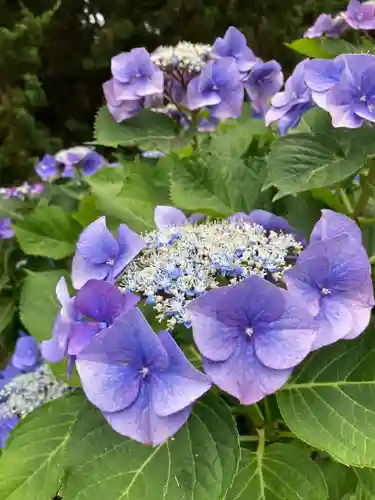 建長寺(神奈川県)