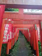 佐助稲荷神社の鳥居