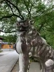 篠座神社の狛犬