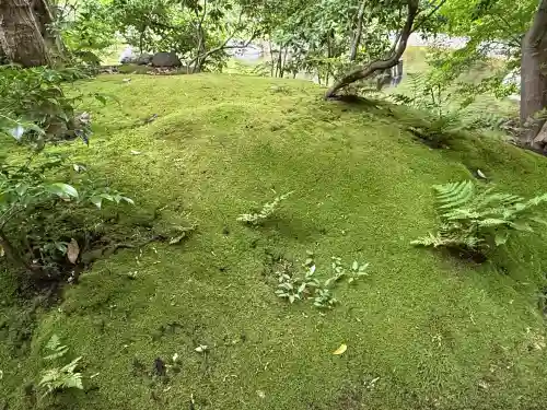 寒川神社(神奈川県)