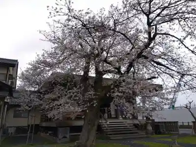 妙経寺(福井県)