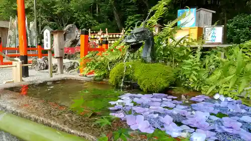 出雲大神宮の手水舎