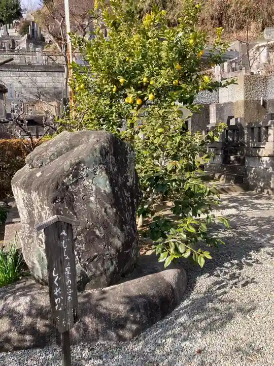 妙法寺(神奈川県)