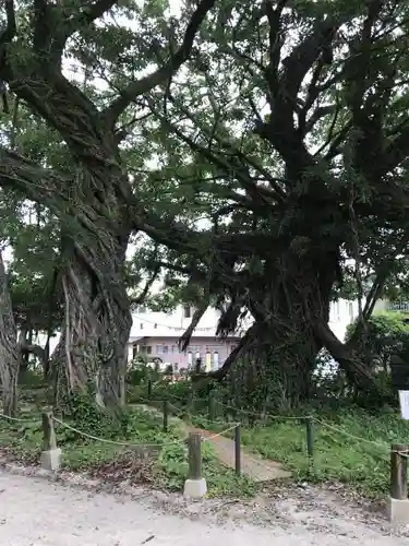 野島神社の自然