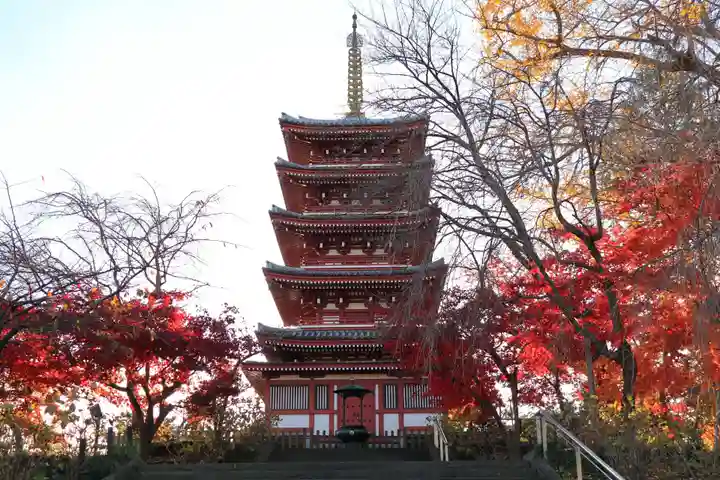 本土寺(千葉県)