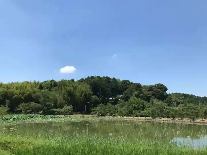 牟禮山観音禅寺の景色