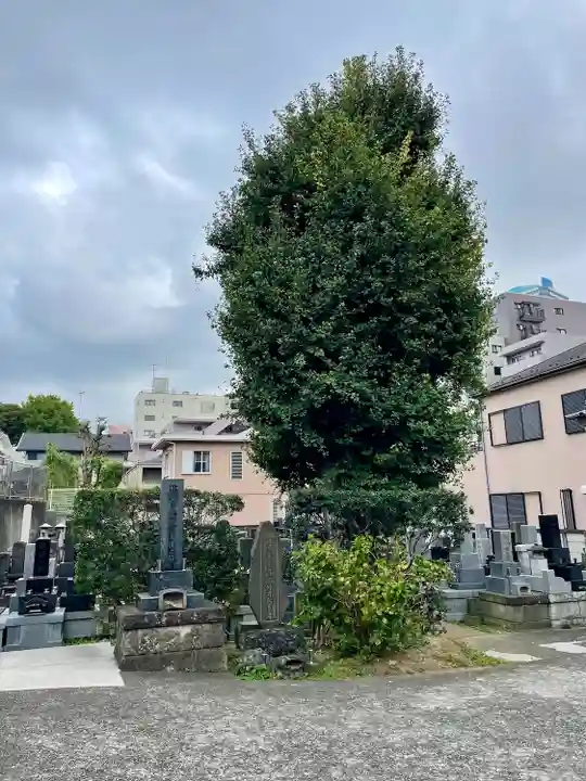 甚行寺(神奈川県)