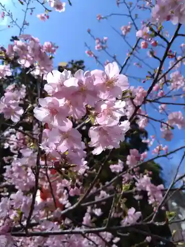 熊野那智大社(和歌山県)