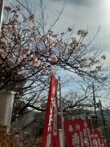 大船観音寺(神奈川県)