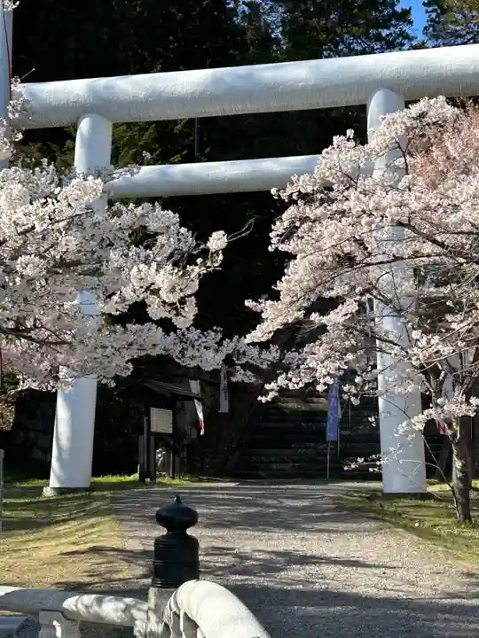 土津神社|こどもと出世の神さまの鳥居