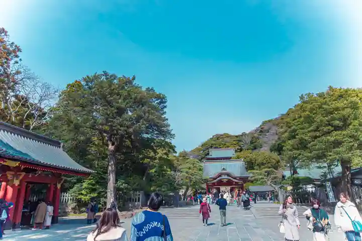 鶴岡八幡宮(神奈川県)