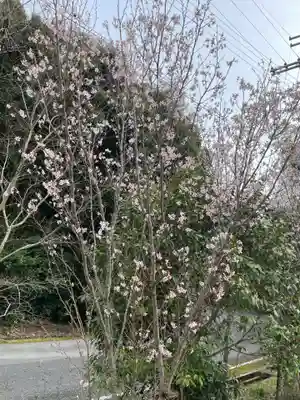 総持院(兵庫県)