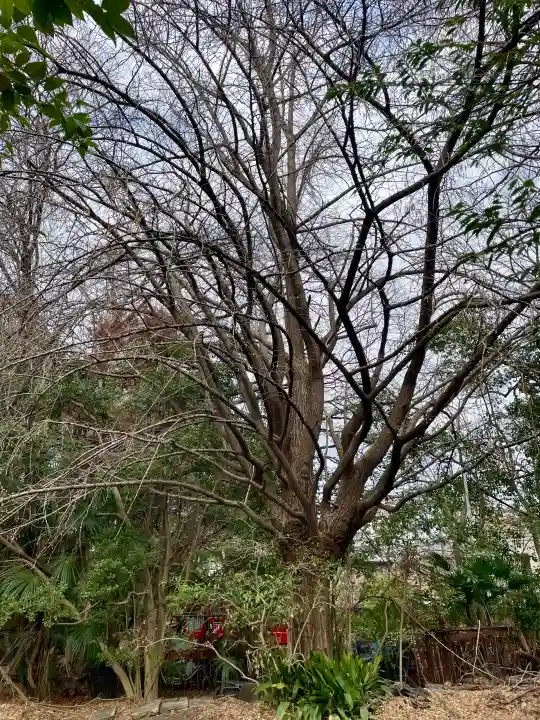 普門院の{uncategorized: "未分類", other: "その他", undefined: "問題あり", building: "その他建物", grave: "お墓", sacred_gate: "鳥居", guardian: "狛犬", statue: "像", buddha: "仏像", history: "歴史", nature: "自然", garden: "庭園", animal: "動物", pagoda: "塔", temizu: "手水舎", mountain_gate: "山門・神門", sanctuary: "本殿・本堂", subordinate: "末社・摂社", art: "芸術", scenery: "景色", jizo: "地蔵", ema: "絵馬", goshuin: "御朱印", omikuji: "おみくじ", items: "授与品その他", amulet: "お守り", goshuincho: "御朱印帳", eats: "食事", festival: "お祭り", votive_dance: "神楽", shichigosan: "七五三参", wedding: "結婚式", experience: "体験その他", initially: "初詣", around: "周辺", anti_infection: "感染症対策"}