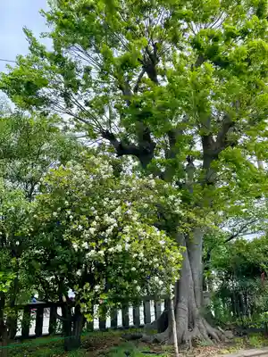 久里浜八幡神社(神奈川県)