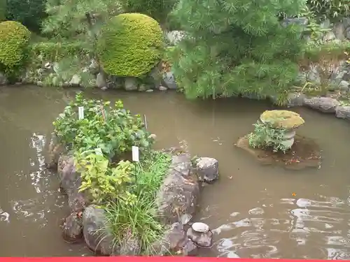 高幡不動尊　金剛寺(東京都)