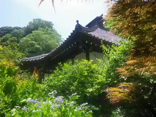 光則寺の本殿・本堂
