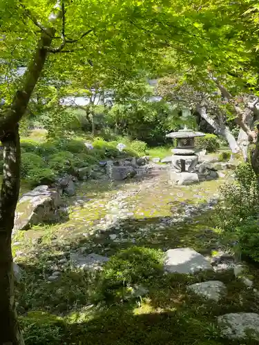 金剛寺(大阪府)