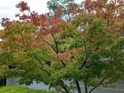 妙満寺(京都府)