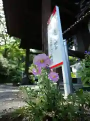 普門寺(切り絵御朱印発祥の寺)(愛知県)