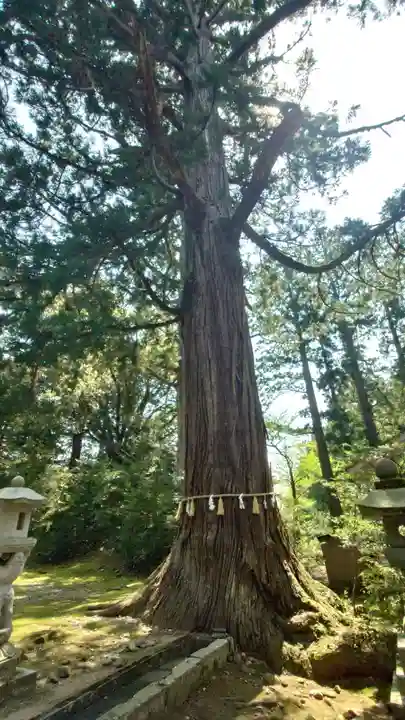 八幡宮(富山県)