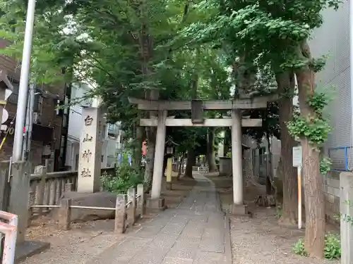 荻窪白山神社の鳥居
