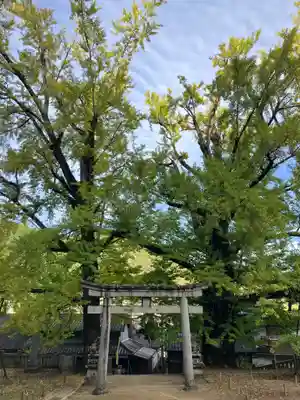 岩部八幡神社(香川県)