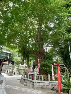 福徳稲荷神社 (海南神社境内社)(神奈川県)