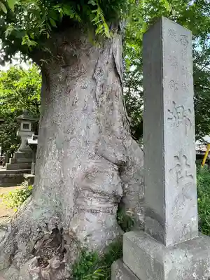 雀神社(茨城県)