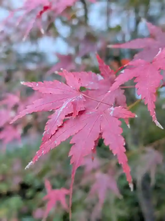 成子天神社(東京都)