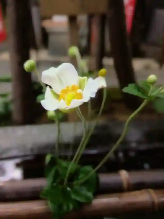 陽運寺(東京都)