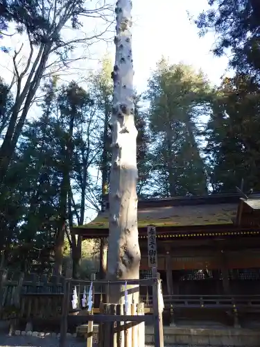 諏訪大社下社春宮(長野県)