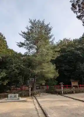 檜原神社（大神神社摂社）(奈良県)