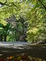 相馬神社(北海道)