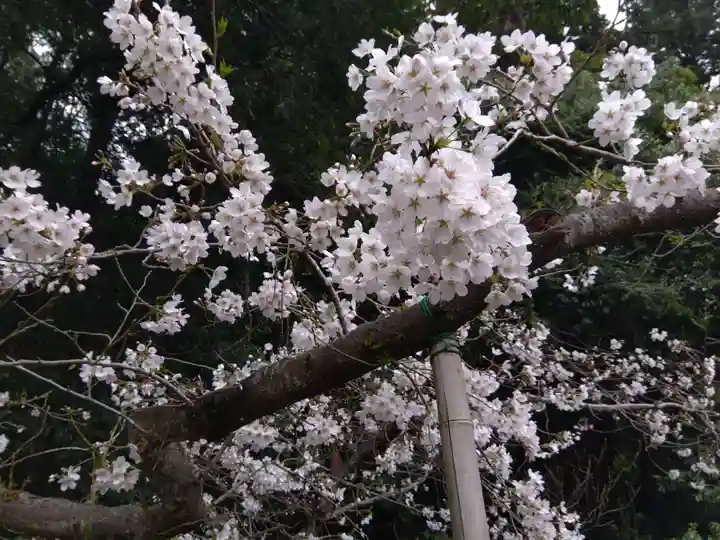 春日神社(福井県)