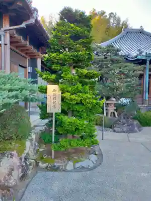 西光寺(和歌山県)