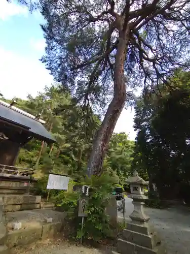 建勲神社の自然