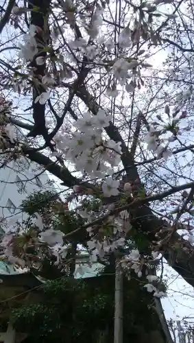 猿江神社の自然