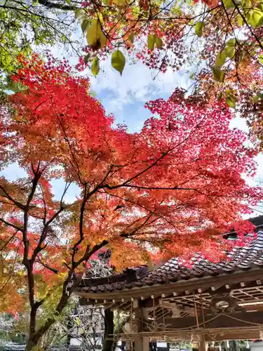 松尾大社(京都府)