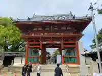 葛井寺の{uncategorized: "未分類", other: "その他", undefined: "問題あり", building: "その他建物", grave: "お墓", sacred_gate: "鳥居", guardian: "狛犬", statue: "像", buddha: "仏像", history: "歴史", nature: "自然", garden: "庭園", animal: "動物", pagoda: "塔", temizu: "手水舎", mountain_gate: "山門・神門", sanctuary: "本殿・本堂", subordinate: "末社・摂社", art: "芸術", scenery: "景色", jizo: "地蔵", ema: "絵馬", goshuin: "御朱印", omikuji: "おみくじ", items: "授与品その他", amulet: "お守り", goshuincho: "御朱印帳", eats: "食事", festival: "お祭り", votive_dance: "神楽", shichigosan: "七五三参", wedding: "結婚式", experience: "体験その他", initially: "初詣", around: "周辺", anti_infection: "感染症対策"}