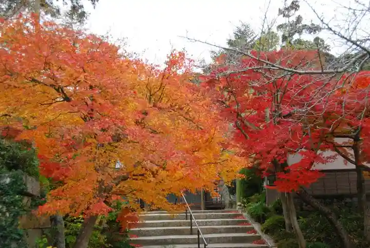 日頼寺(山口県)