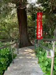 平出雷電神社の自然