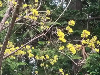 賀茂神社(滋賀県)
