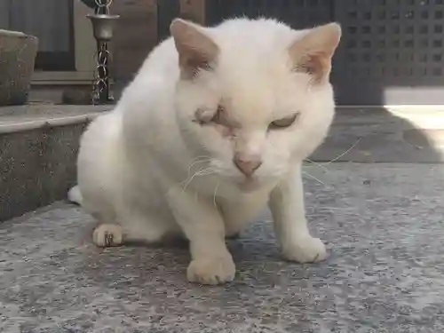 宝寿院(愛知県)