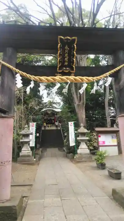南沢氷川神社の鳥居