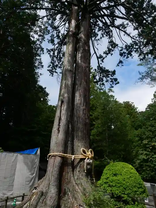 北口本宮冨士浅間神社のその他建物