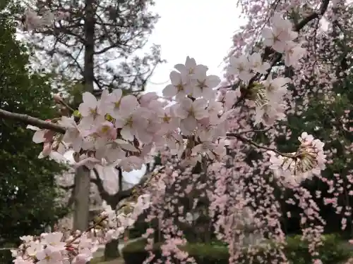 栽松院の{uncategorized: "未分類", other: "その他", undefined: "問題あり", building: "その他建物", grave: "お墓", sacred_gate: "鳥居", guardian: "狛犬", statue: "像", buddha: "仏像", history: "歴史", nature: "自然", garden: "庭園", animal: "動物", pagoda: "塔", temizu: "手水舎", mountain_gate: "山門・神門", sanctuary: "本殿・本堂", subordinate: "末社・摂社", art: "芸術", scenery: "景色", jizo: "地蔵", ema: "絵馬", goshuin: "御朱印", omikuji: "おみくじ", items: "授与品その他", amulet: "お守り", goshuincho: "御朱印帳", eats: "食事", festival: "お祭り", votive_dance: "神楽", shichigosan: "七五三参", wedding: "結婚式", experience: "体験その他", initially: "初詣", around: "周辺", anti_infection: "感染症対策"}