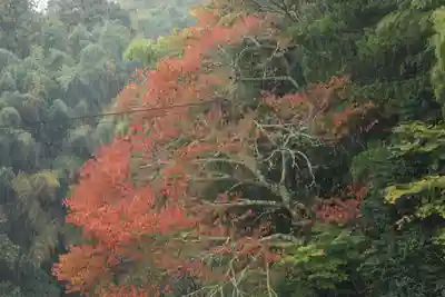 見渡神社の自然