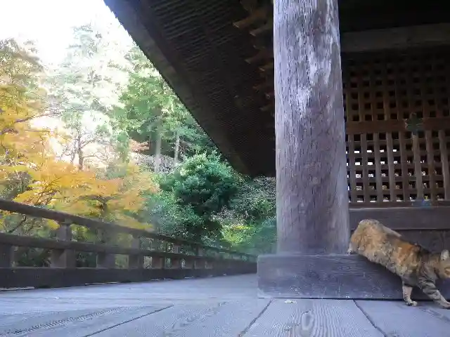 妙本寺のその他建物