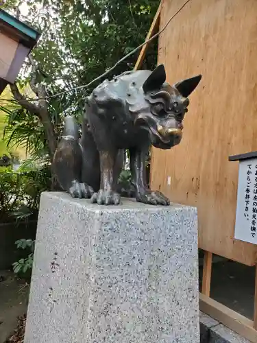 稲毛神社の狛犬