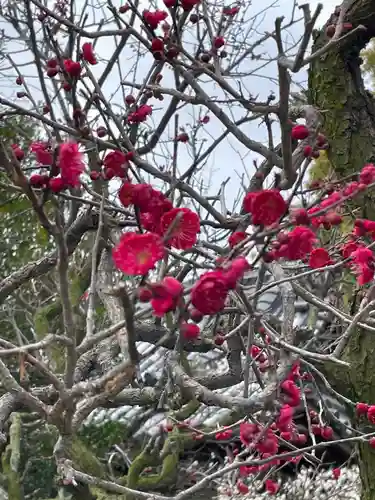 道明寺天満宮の自然